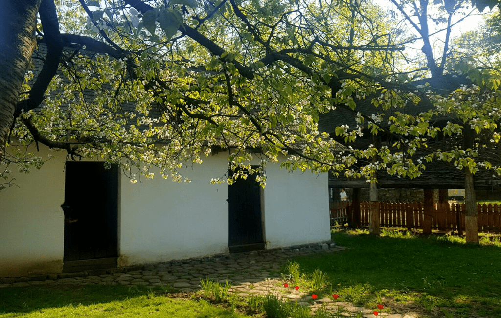 National Village Museum