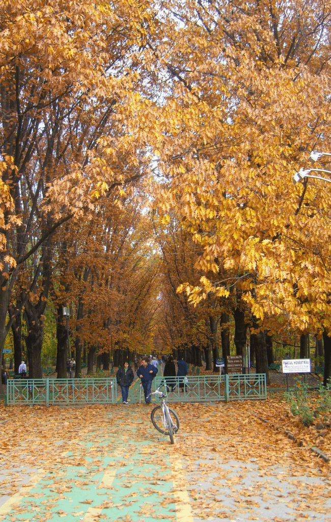 Bucharest park in autumn