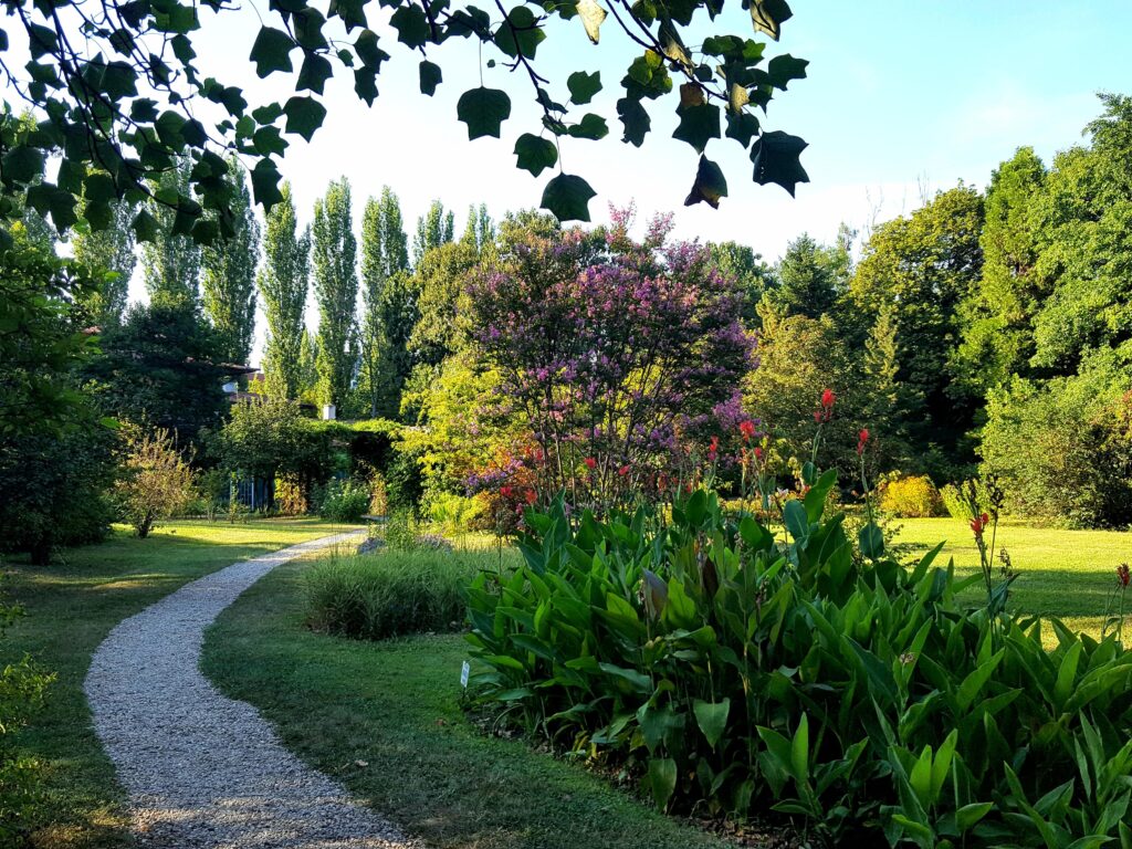 Alley on Botanical Garden