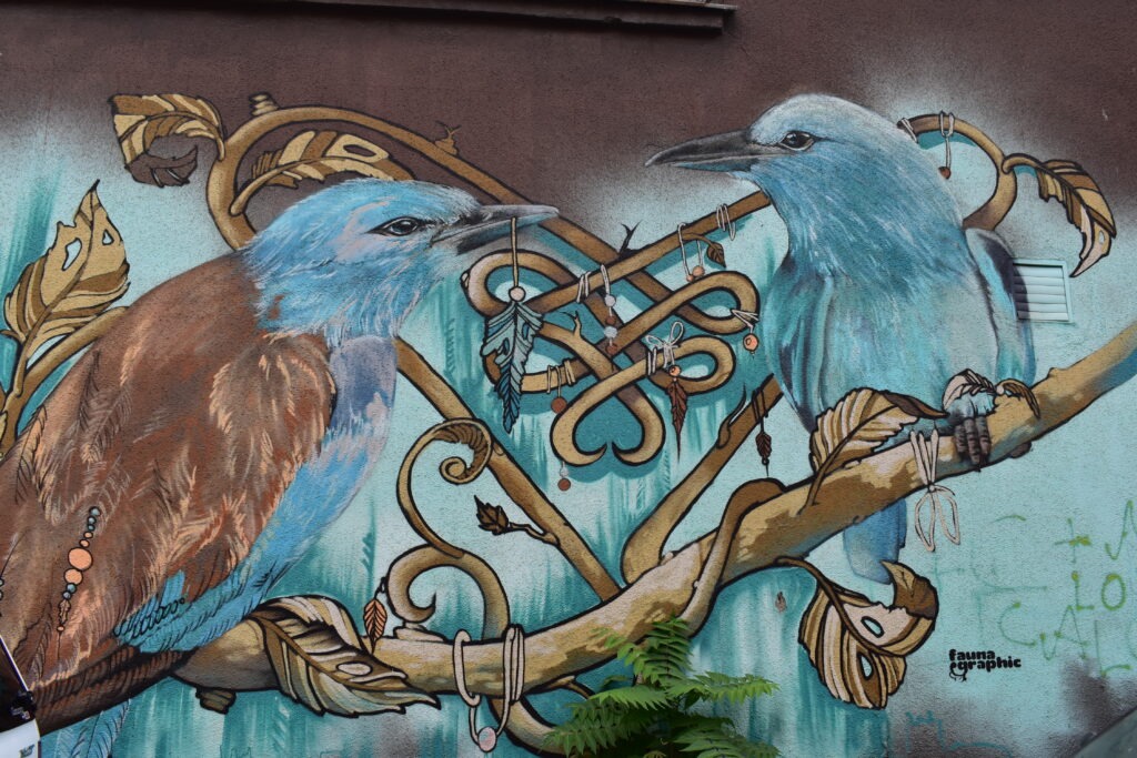 street art in bucharest with 2 birds