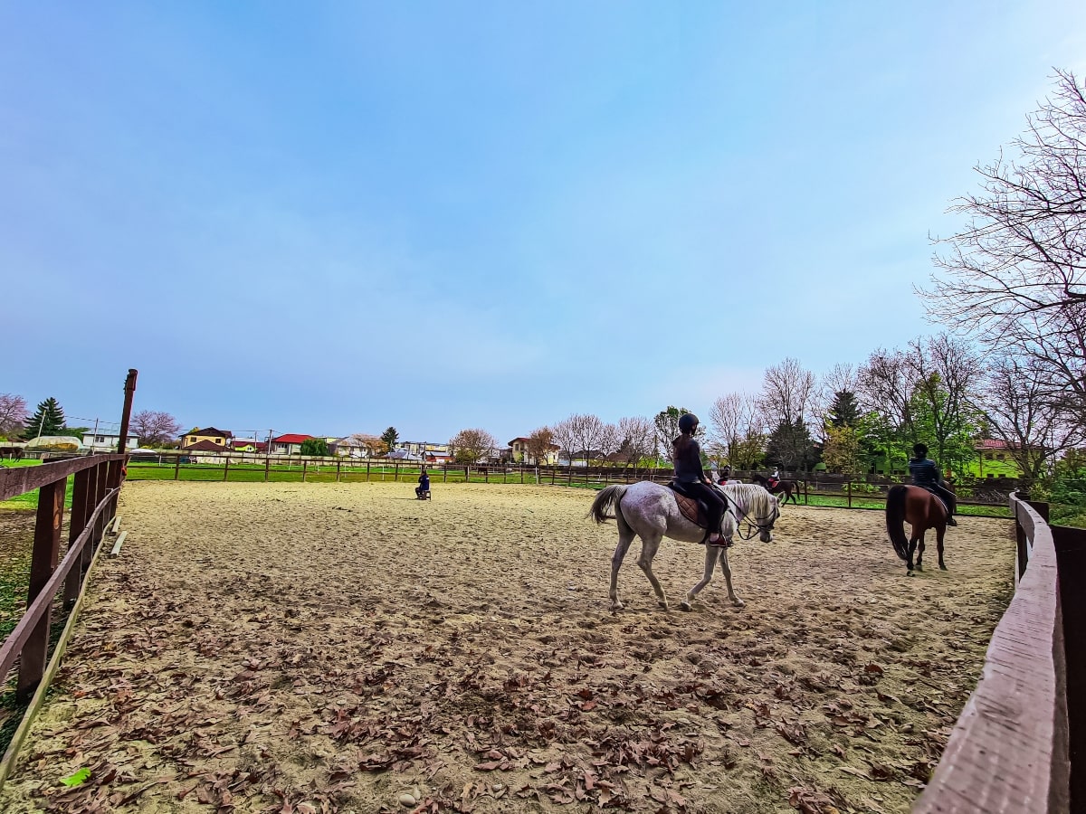 stirbei palace ridding horses
