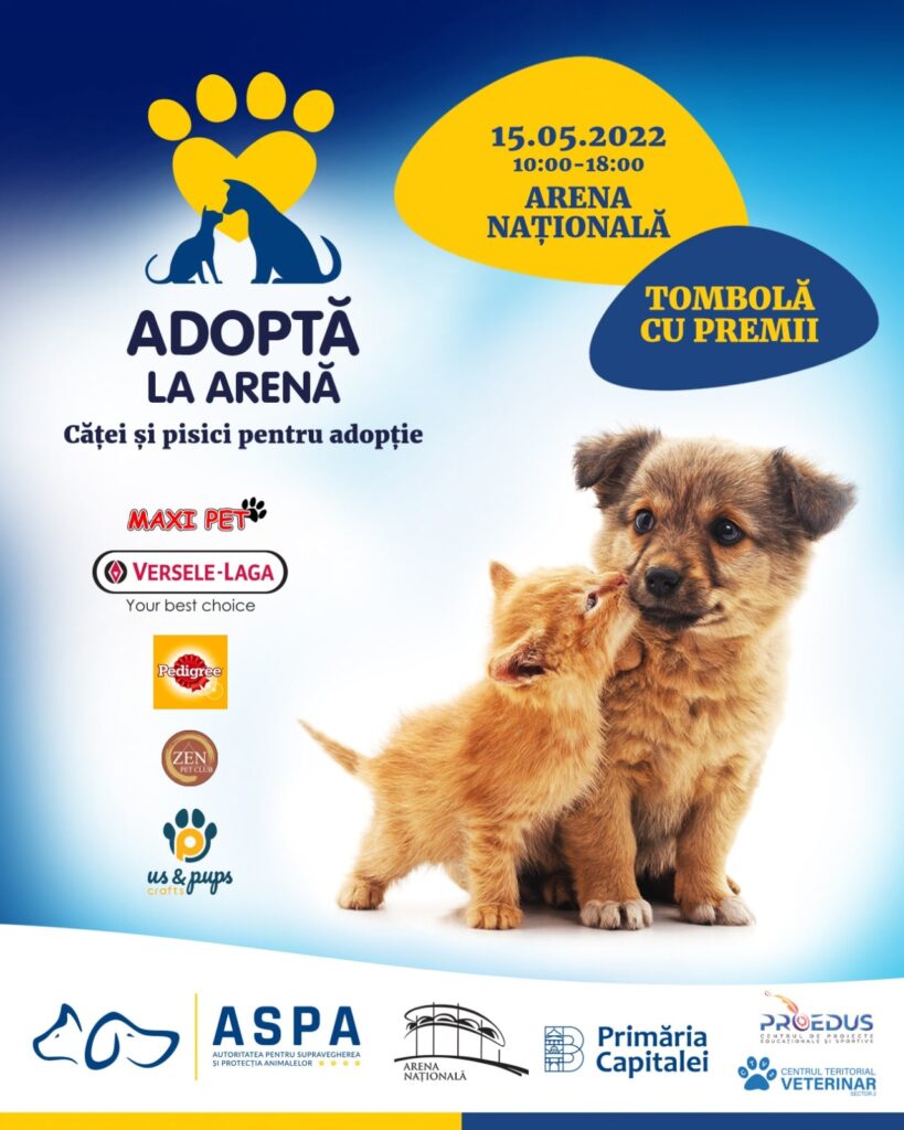 Animal adoption fair in Bucharest