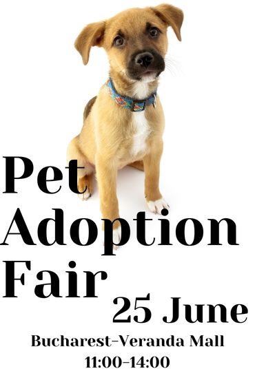 Pet adoption fair