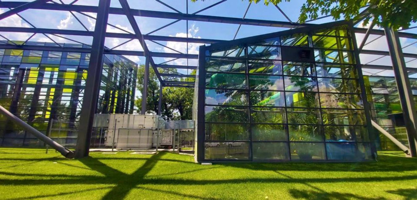 Greenhouse in Drumul Taberei Park