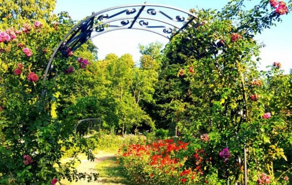 Botanical Garden of Bucharest