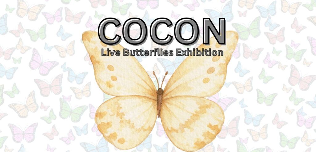 COCON Live butterflies