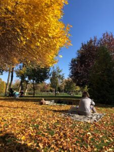 Bucharest in Autumn: A Traveler's Guide to the City's Fall Splendor ...