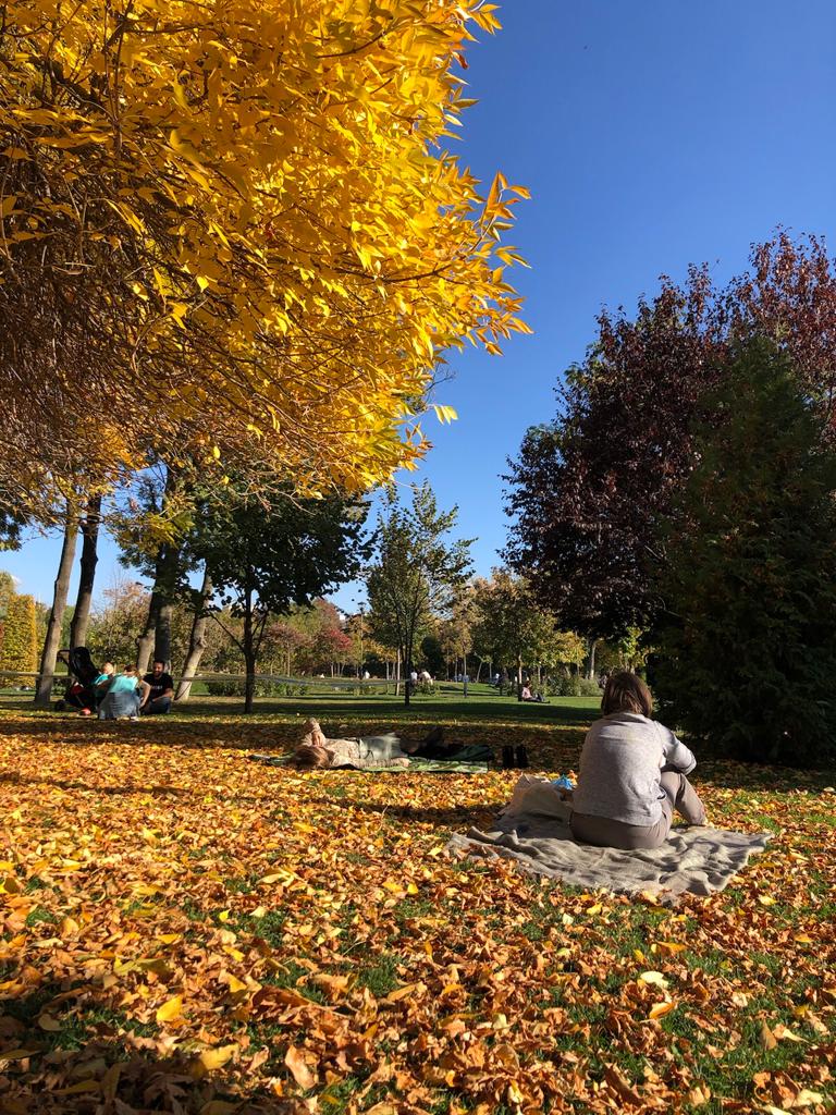 Bucharest in autumn park