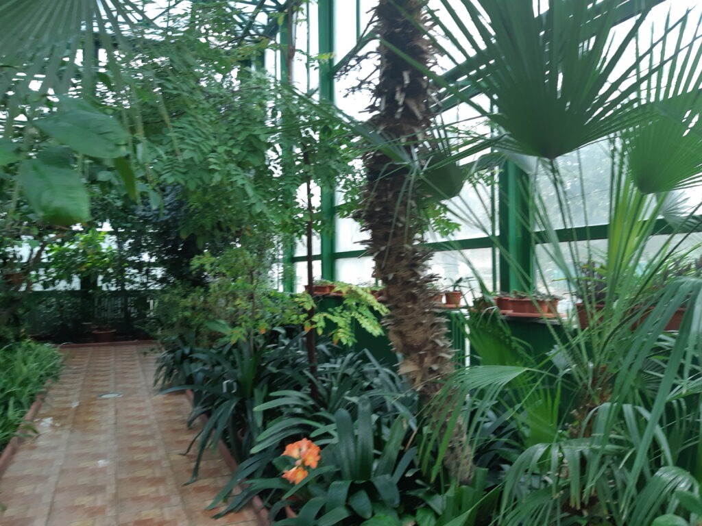 Botanical Garden in Bucharest
