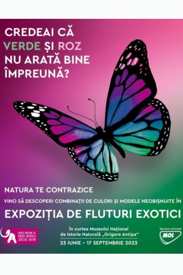 Butterflies Exhibition 2023