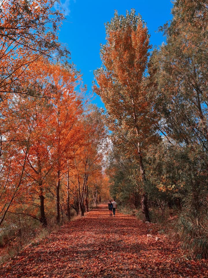 Bucharest park in Autumn