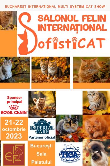 Bucharest International Multi System Cat Show 2023