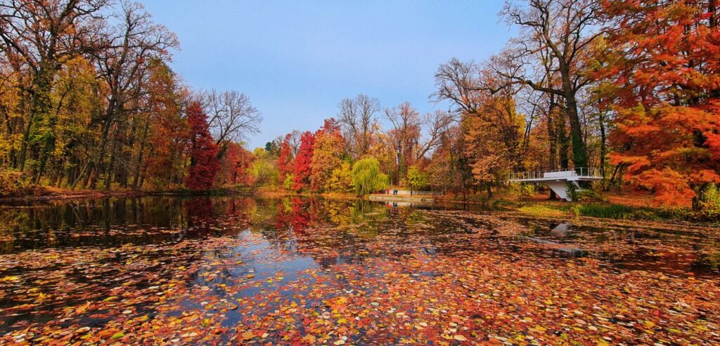 Bucharest in Autumn