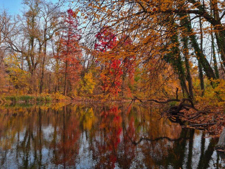Bucharest in Autumn: A Traveler's Guide to the City's Fall Splendor ...
