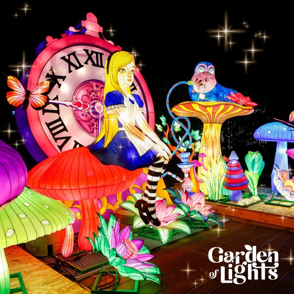 Garden of Lights - Alice in Wonderland
