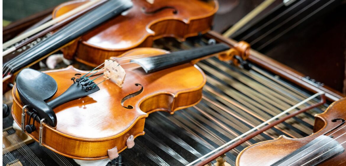 Budapest Gypsy Symphony Orchestra violins and dulcimer