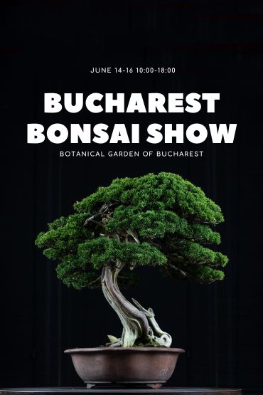 Bucharest Bonsai Show 2024