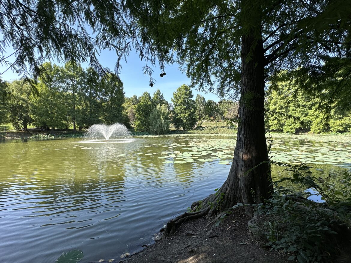 Circus Lake in Circus Park