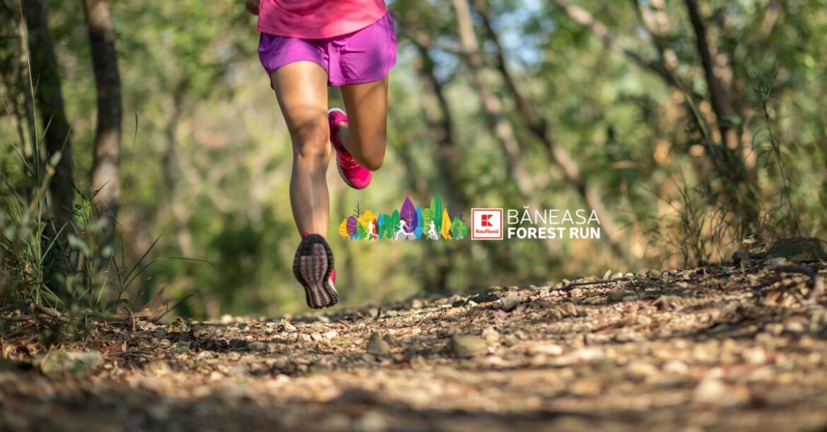 Baneasa Forest Run - running competition in forest