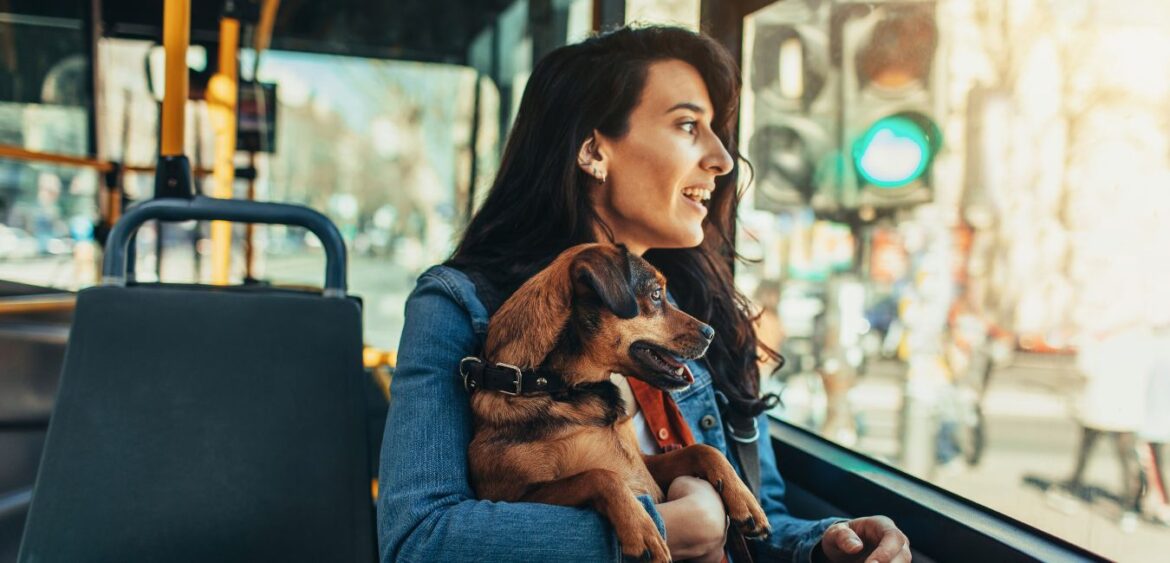 owner and dog in public transport