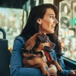 owner and dog in public transport