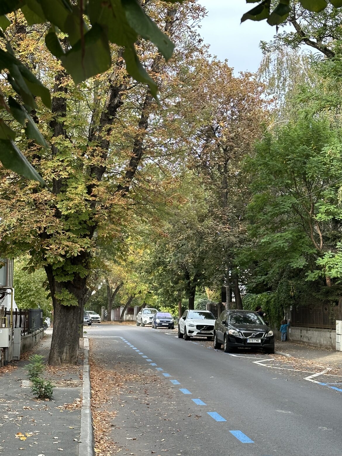 street in Cotroceni neighbourhood