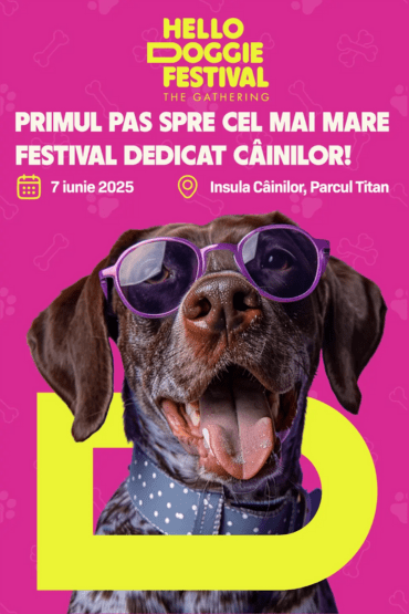 Hello Doggie Festival 2025 Bucharest