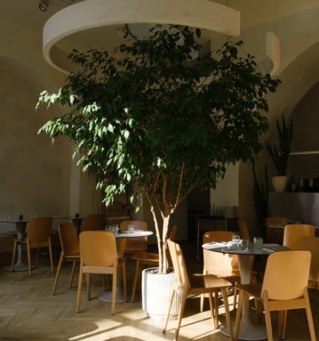 Mom Restaurant