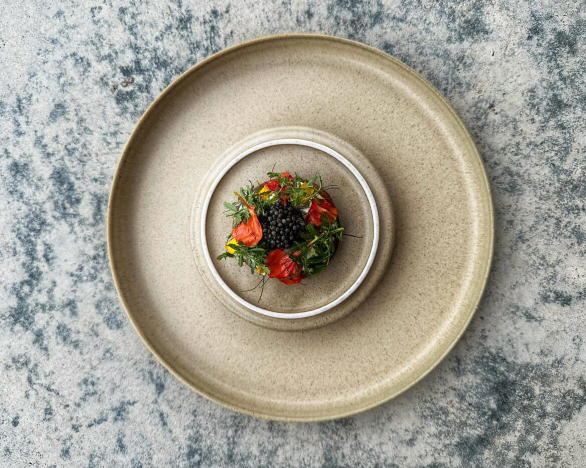 NOUA dish