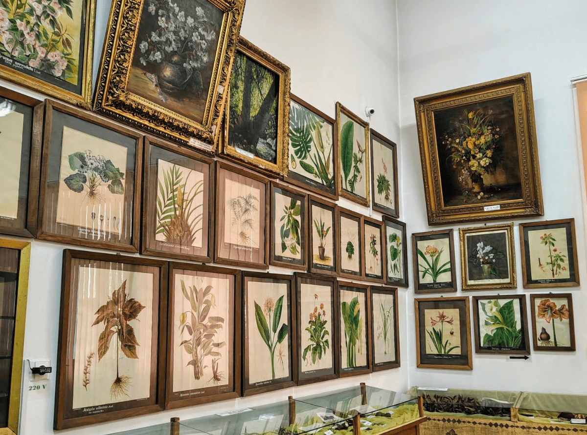 Botanical Garden Museum Botanical Garden Museum