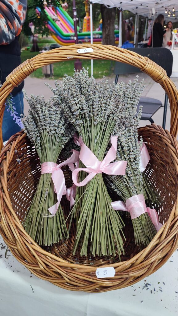 Basket with lavander bouquets
