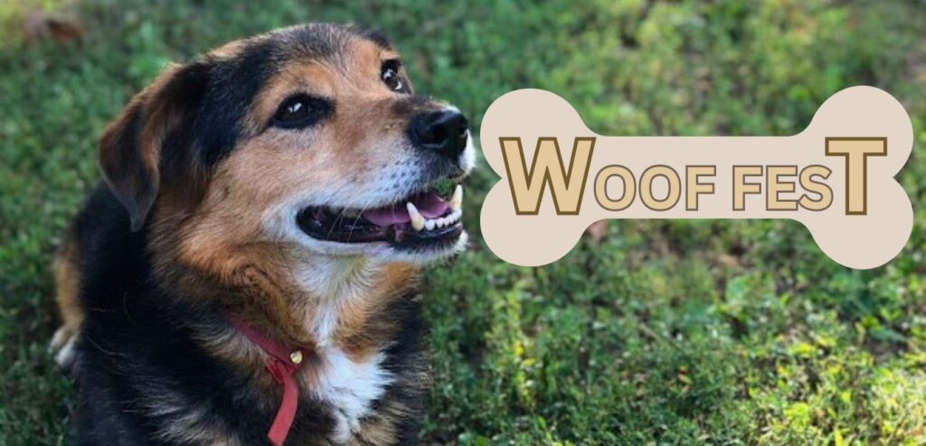 Woof Fest banner