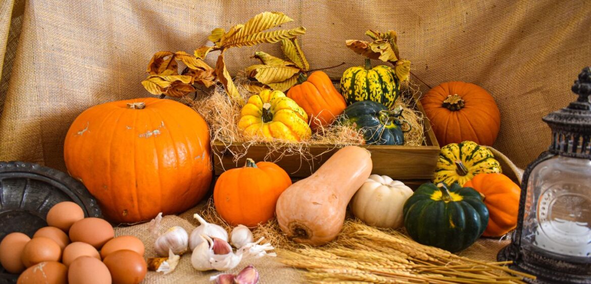 Earth Harvest Festival - Festivalul Roadele Pământului