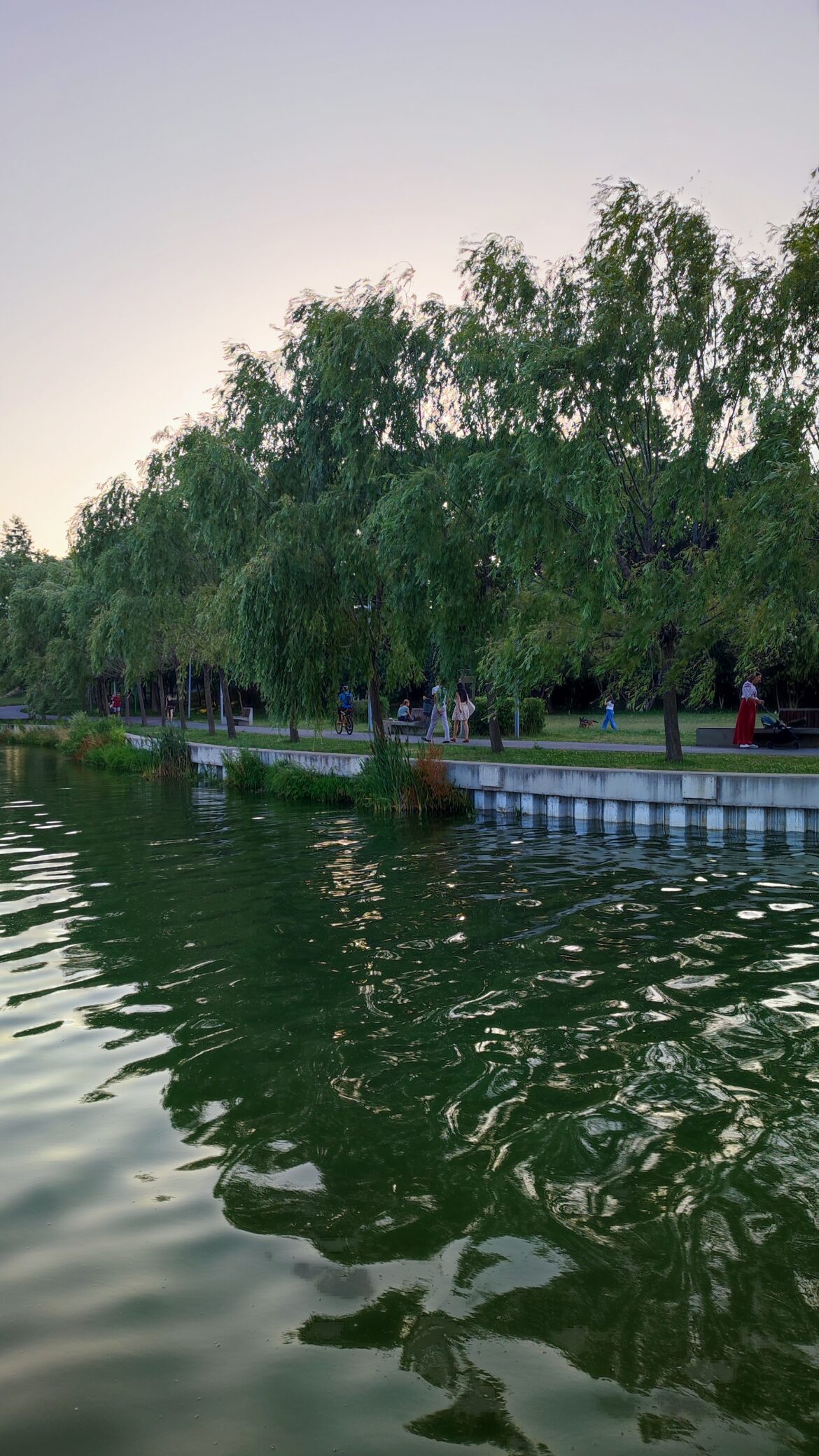 Bordei Park walks