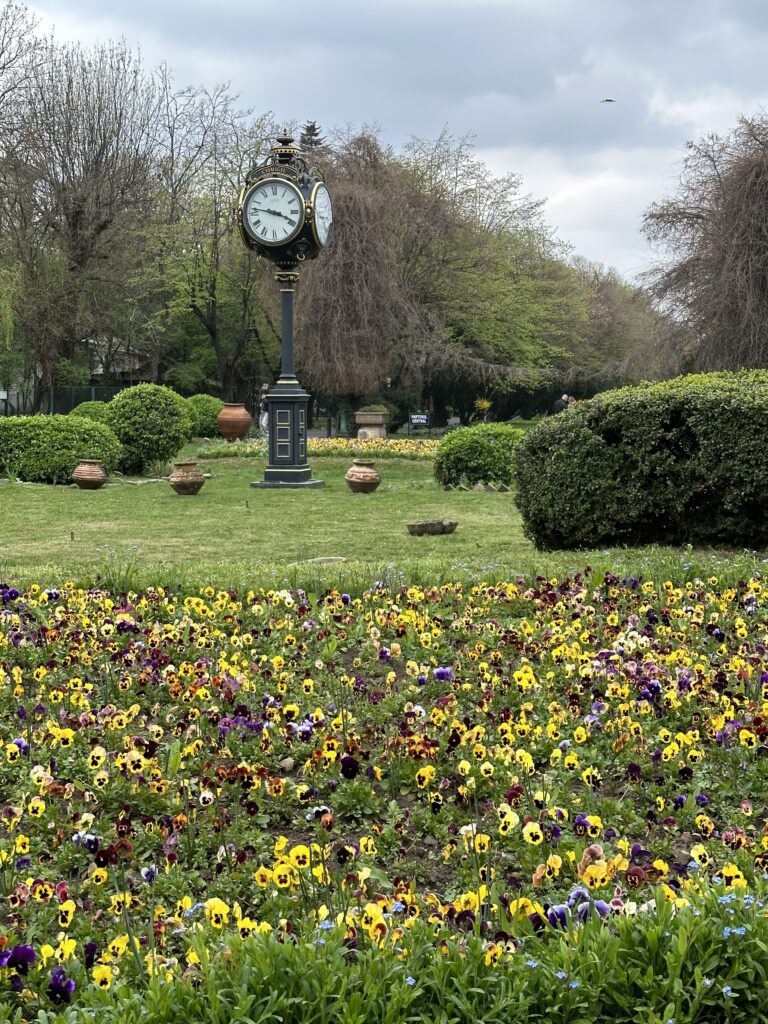 Flowers in Cismigiu spring