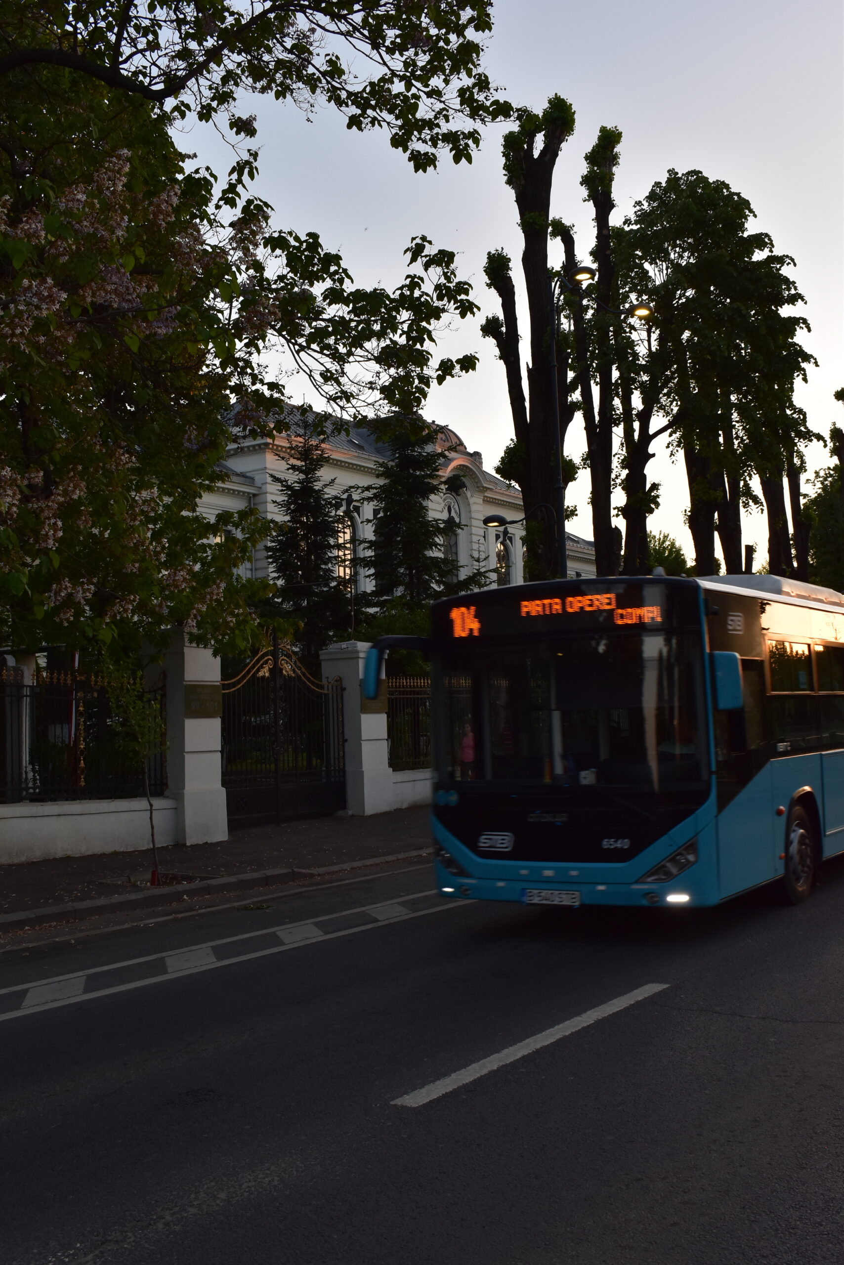 bus 104 bus 104