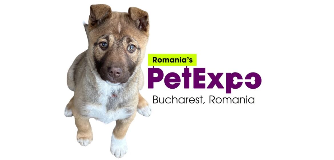 PetExpo