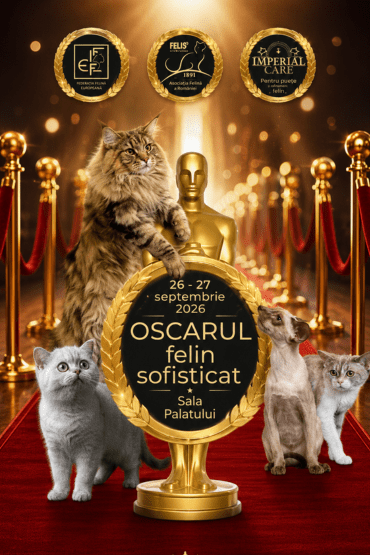 Oscarul Felin SofistiCat 2026